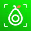 AI Calorie Counter: CaloCare - OSENGO