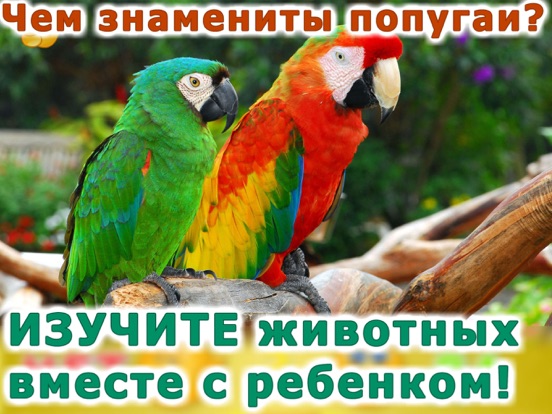 Screenshot #6 pour Animaux jeux 1 pour bebe photo