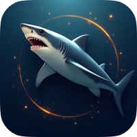 Shark Activity Tracker Finder