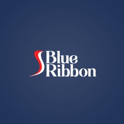 Blue Ribbon Property Mgt