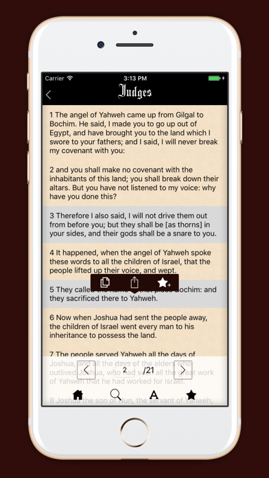World English Bible: WEB app screenshot 3