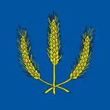 Kysta - App Icon