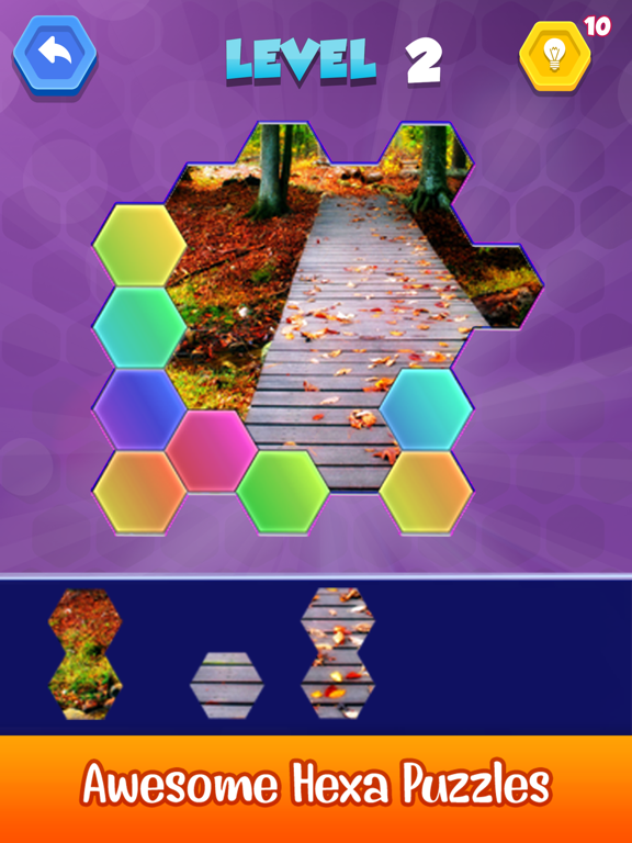 Jigsaw Hexa Puzzle Art iPad screenshot