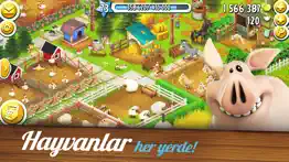 hay day iphone resimleri 3
