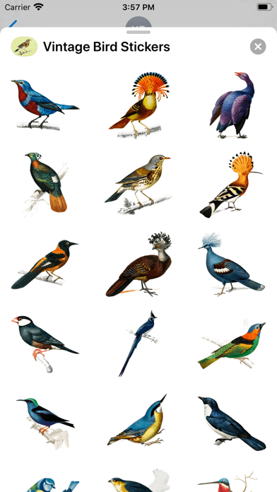 Screenshot #2 pour Vintage Bird Stickers