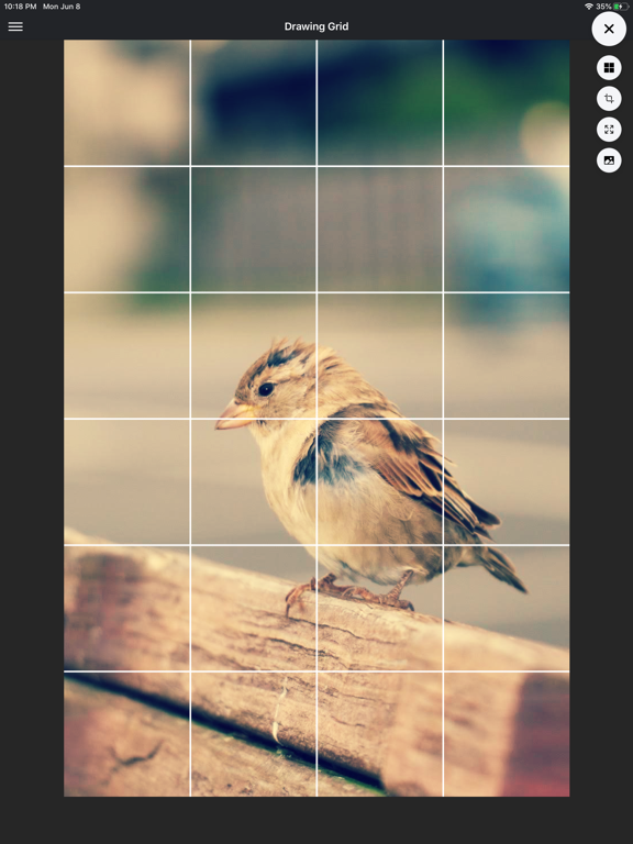 Screenshot #4 pour DrawinGrid