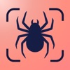 Spider Identifier Pro icon