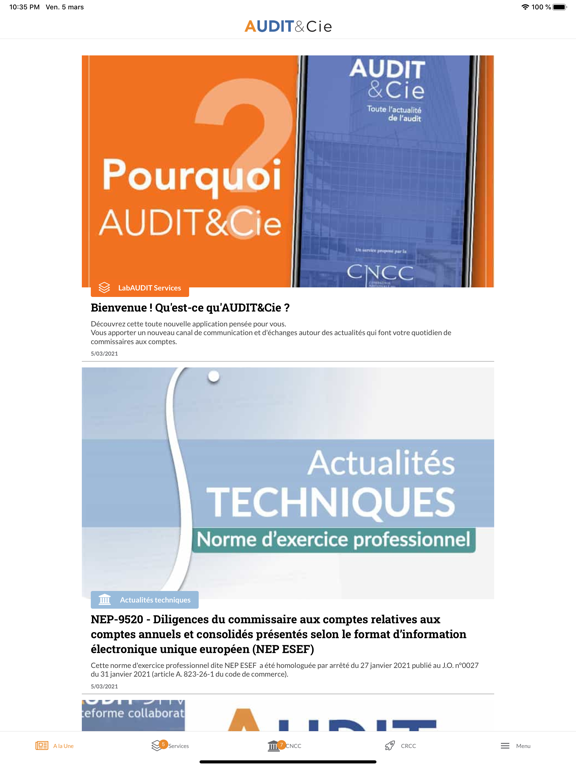 Screenshot #5 pour AUDIT & Cie
