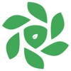 Green Globe icon