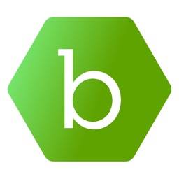 Beeline Contractor