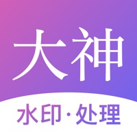 大神水印-視頻圖片水印處理大師  