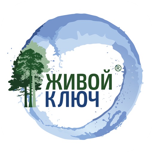 Живой ключ Казань icon