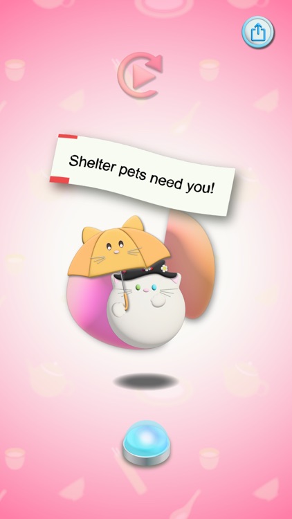 CookieAMA screenshot-7