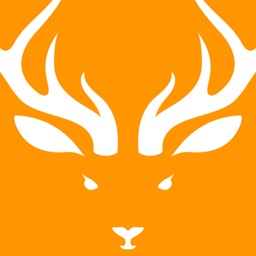 CoTW Guide
