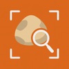 Rock Identifier º RockSnap icon