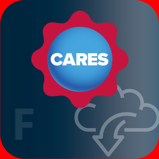 CARES Downstream Fabricator