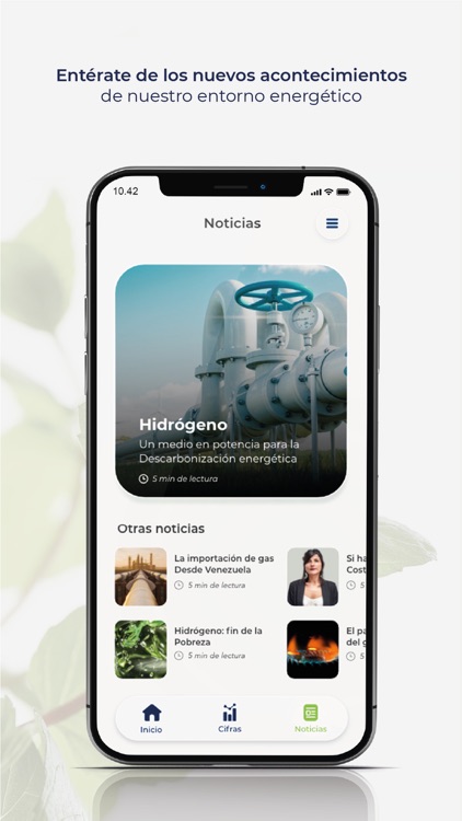 Informe del Sector Gas Natural