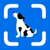 Dog Breed Identifier Scanner icon