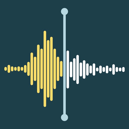 Transcribe Voice Notes: Rec AI