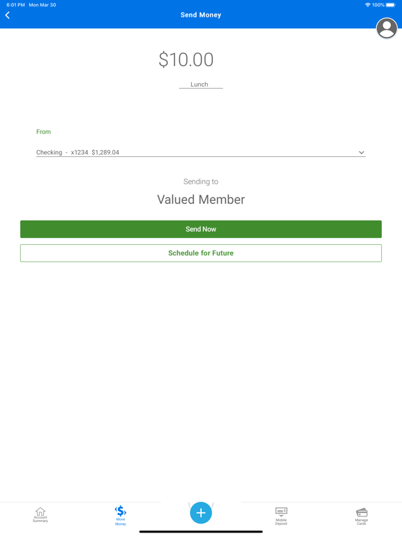 RBFCU iPad screenshot