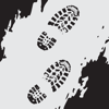 Tracks on the road - Datum LLC