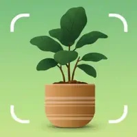 Picture Plant: Tree Identifier