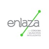 Enlaza Participación Ciudadana