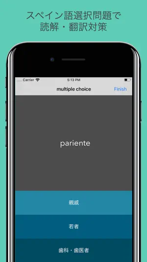 Pro - Basic Spanish Vocabulary screenshot 3