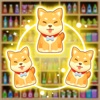 Shelf Sort Puzzle Game icon