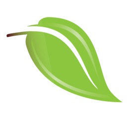 Aesthetics Medical Spa