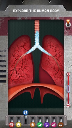 The Human Body: Learn Anatomy screenshot 1