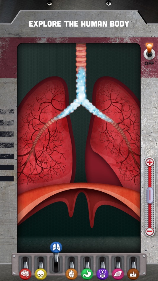 #1. The Human Body: Learn Anatomy (iOS) بواسطة: Learny Land