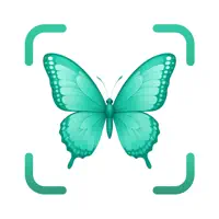 iBug: Insect & Bug Identifier