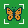 Get Bug identifier: BugSnap for iOS, iPhone, iPad Aso Report