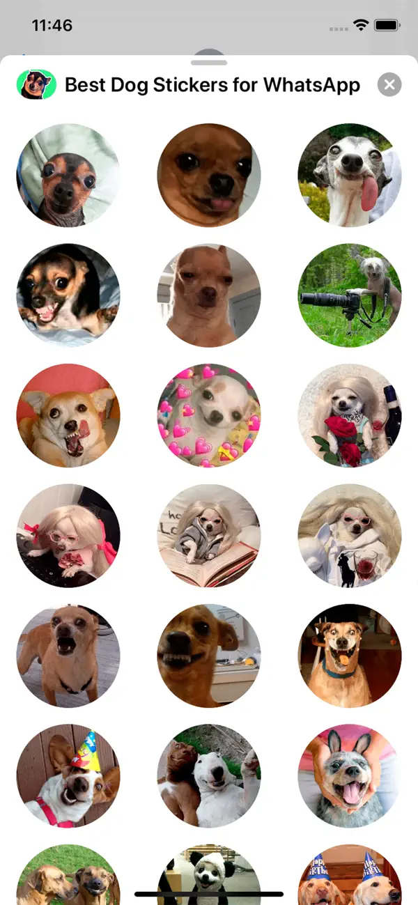 Screenshot #1 pour Best Dog Stickers for iMessage