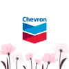 Chevron App Feedback