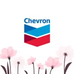 Chevron App Contact