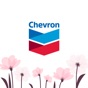 Chevron app download