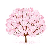 Sakura - 四字熟語Quiz