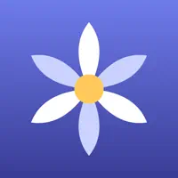 Bluebell Social