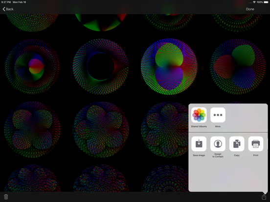 Rosaces iPad screenshot 5 - Graphics & Design app