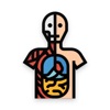 Human Anatomy Learning icon