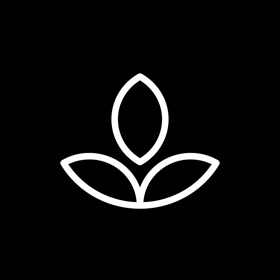 Emphasis: Flow & Focus Timer