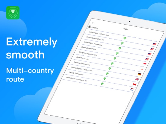 LionVPN: Fast VPN Proxy iPad screenshot