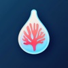 AquaTrack: Aquarium Tracker app icon - Utilities app for iPhone