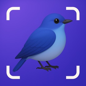 Bird Identifier: Feather ID