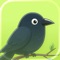 Crowfi