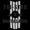 Tri-Star Martial Arts Academy icon