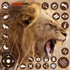 Lion Simulator - Wild Animals icon