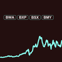 BWA and Market Stock Forecasts